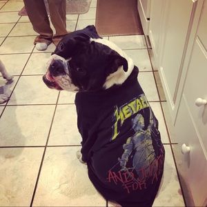 Meet your Posher, Misty